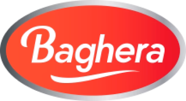 Baghera Logo